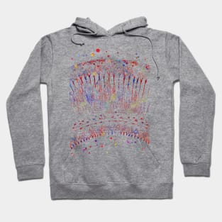 Cortical Neurons Hoodie